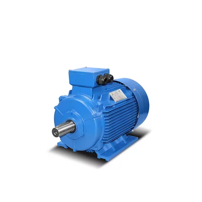 Litinové elektromotory 4,0 kW - 500 kW