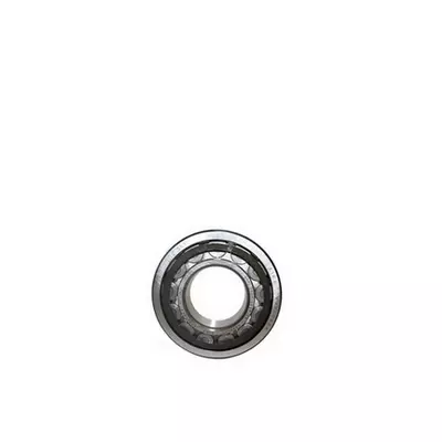 Zesílené uspořádání ložisek Válcová ložiska BG160 až BG315