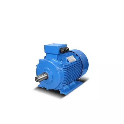 Elektromotor v litém provedení